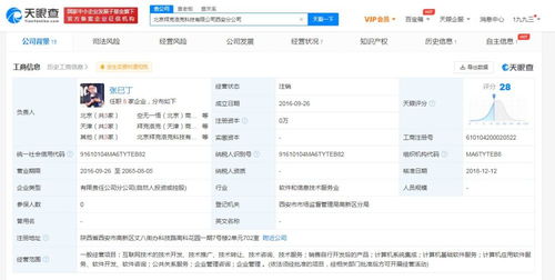 计算机系统集成服务的核心价值与实践应用